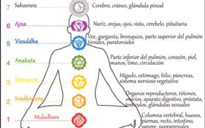 Reiki Usui Tradicional Tibetano/Curso Nivel I