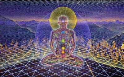 NUESTRA PROPUESTA BIOENERGÉTICA R.E.T. REESTRUCTURACION ENERGÉTICA UNIVERSAL : ONLINE . . .